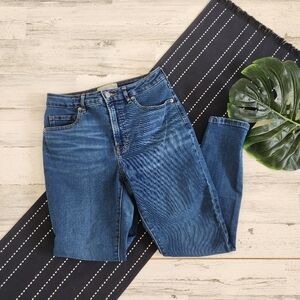 Everlane The Curvy High Rise Skinny Jeans Blue Size 27 Crop